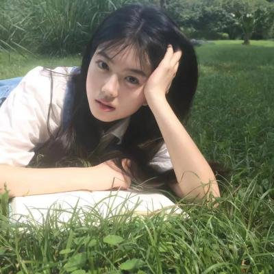节日的准备 封面
