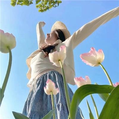 森林里的熊先生 封面
